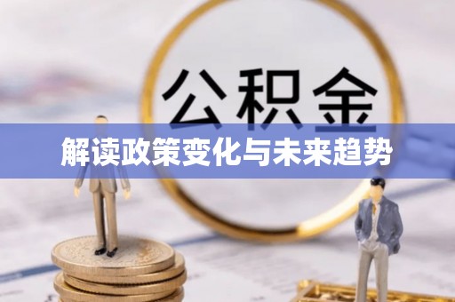 和林格尔解读政策变化与未来趋势