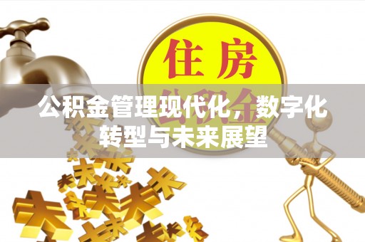 和林格尔公积金管理现代化，数字化转型与未来展望