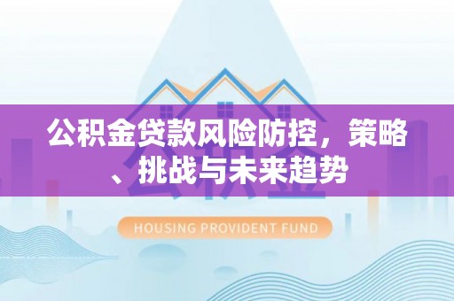 和林格尔公积金贷款风险防控，策略、挑战与未来趋势