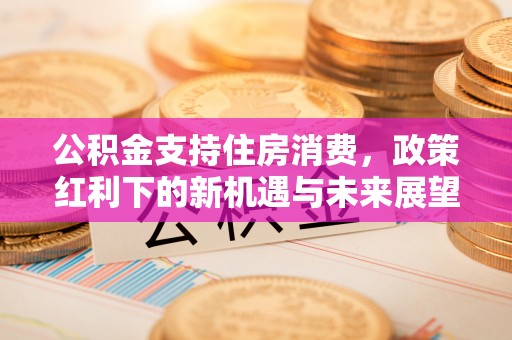 和林格尔公积金支持住房消费，政策红利下的新机遇与未来展望