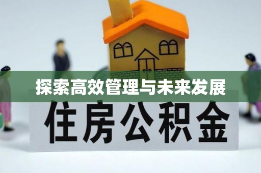 和林格尔探索高效管理与未来发展