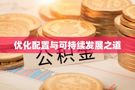 和林格尔优化配置与可持续发展之道