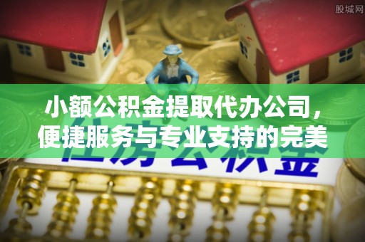 和林格尔小额公积金提取代办公司，便捷服务与专业支持的完美结合