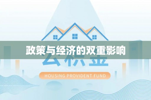 和林格尔政策与经济的双重影响