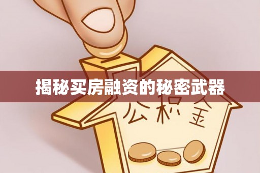 和林格尔揭秘买房融资的秘密武器