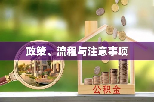 和林格尔政策、流程与注意事项