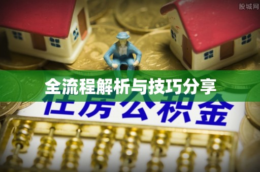 和林格尔全流程解析与技巧分享