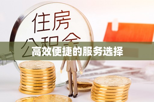 和林格尔高效便捷的服务选择